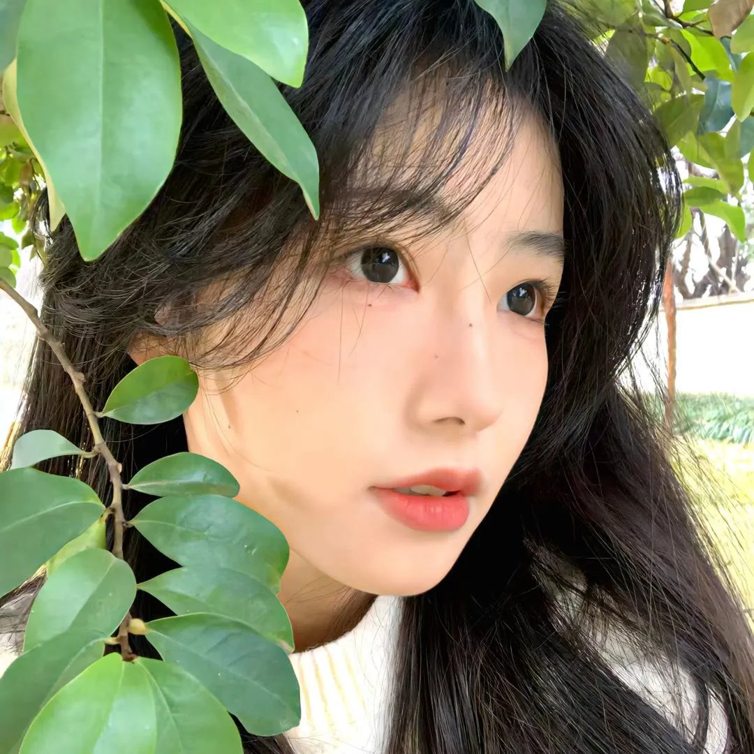 前无古人 动态漫